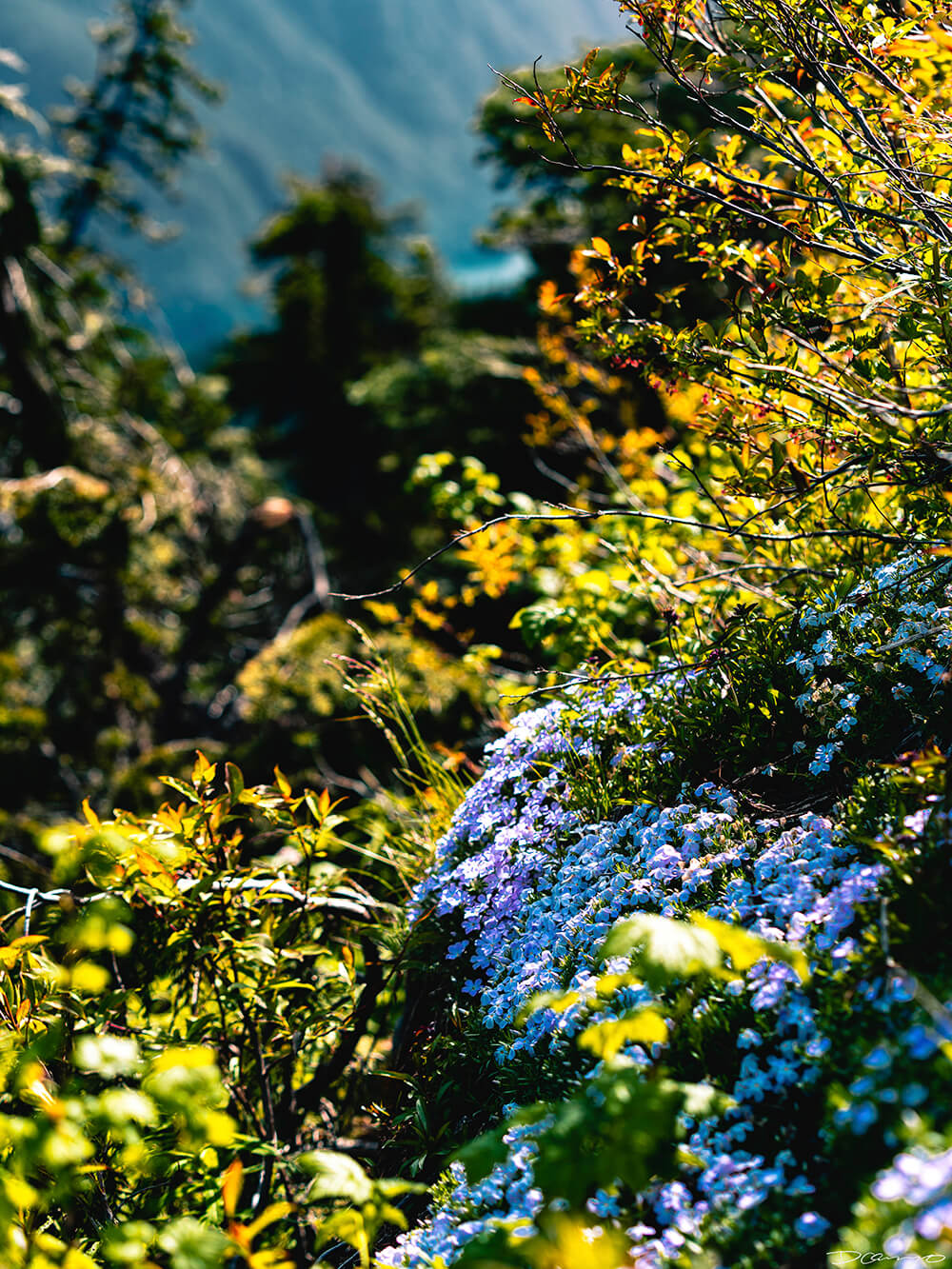 Landscape and portrait photos from a July 2020 trip to the North Cascades. Sourdough Mountain, Diablo Lake, Ross Lake and more.